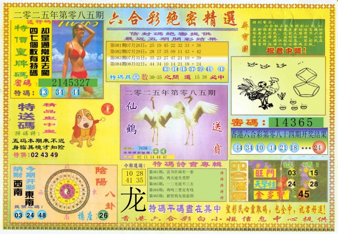 六合彩085期绝密精选A