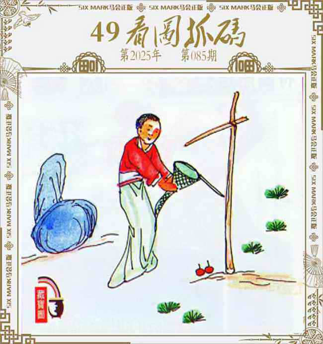 六合彩085期49看图抓码