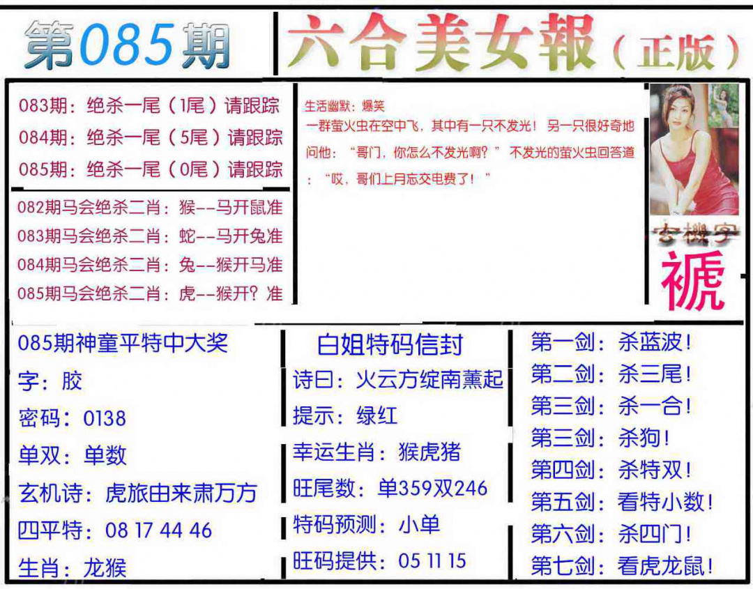 六合彩085期美女报
