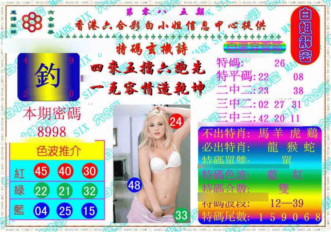 六合彩085期白姐解密《另版》