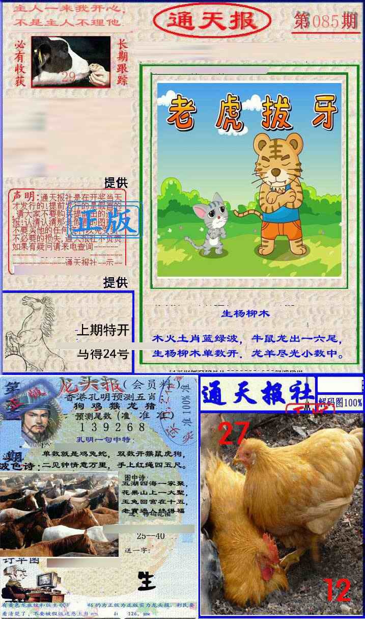 六合彩085期实力通天报