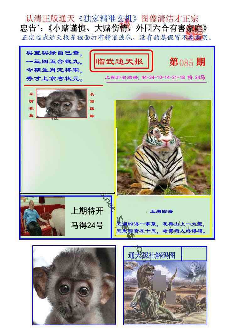 六合彩085期临武通天报