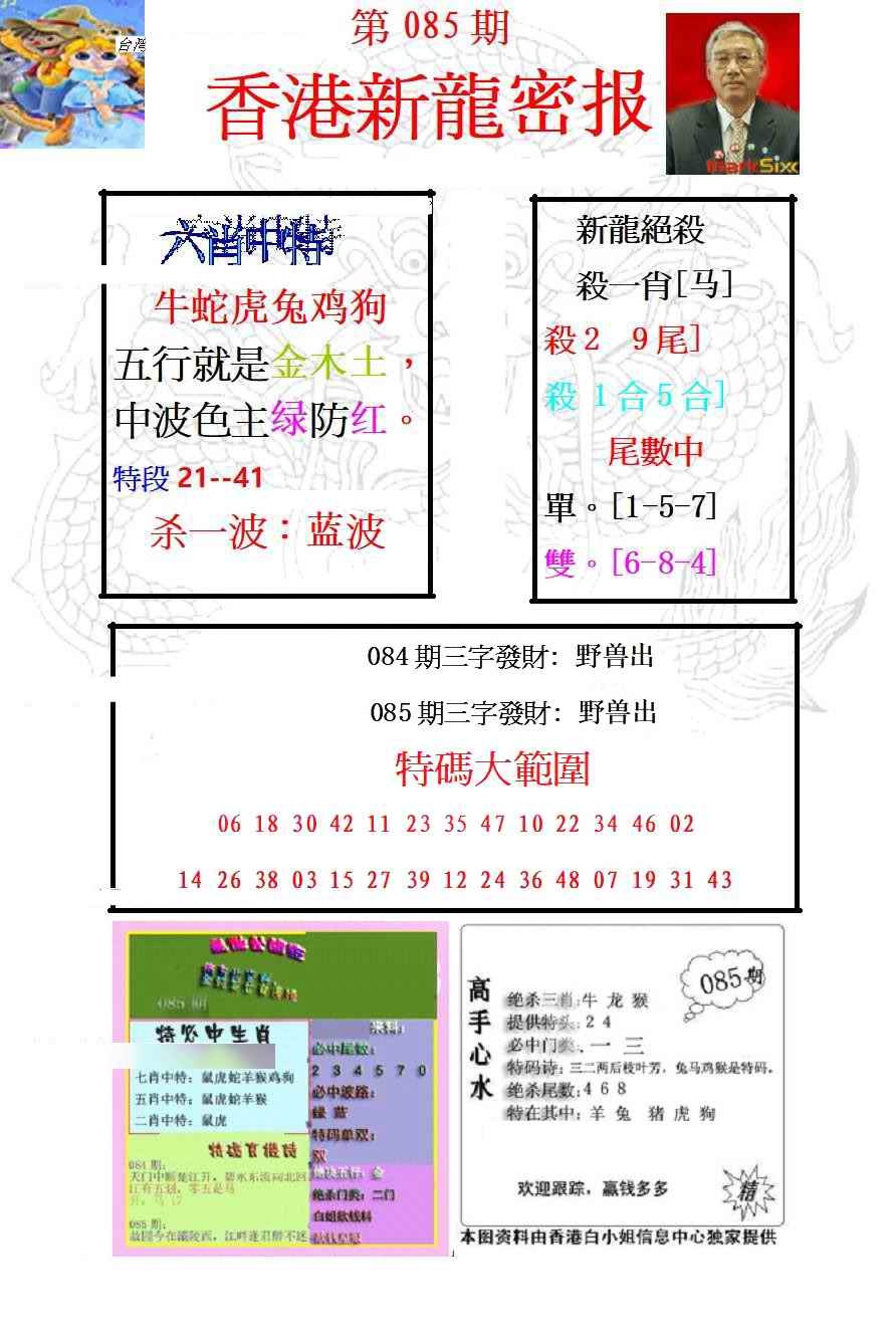 六合彩085期新龙密报