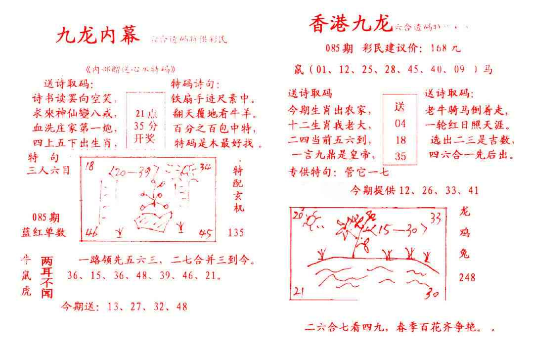 六合彩085期九龙内幕