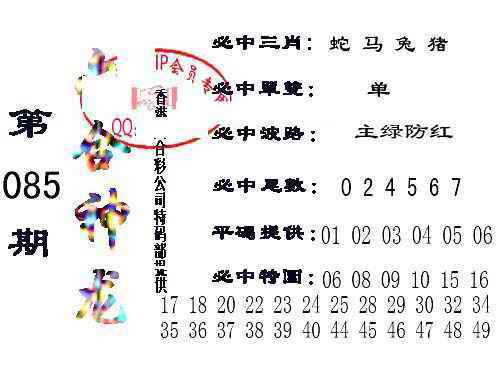 六合彩085期六合神龙