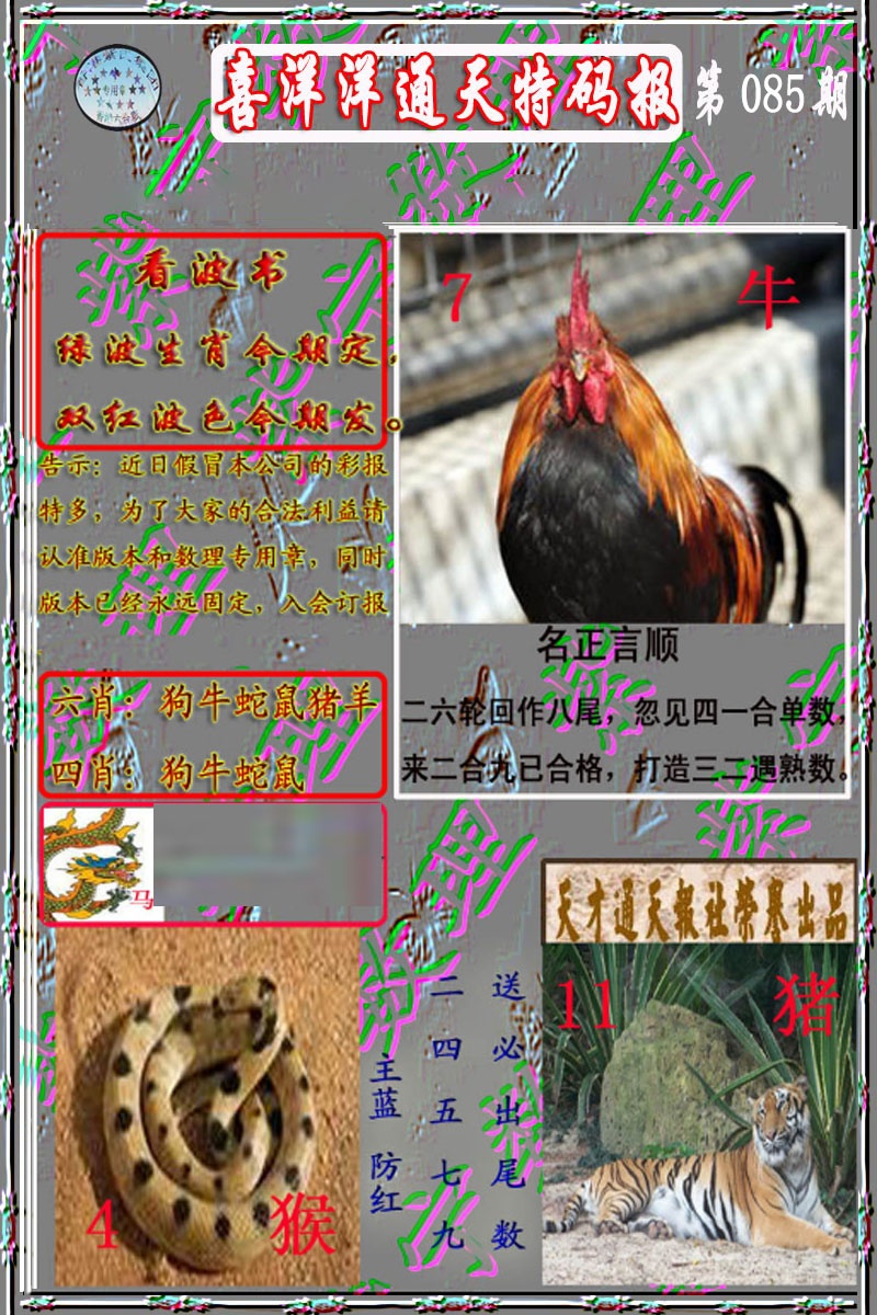 六合彩085期洋通报