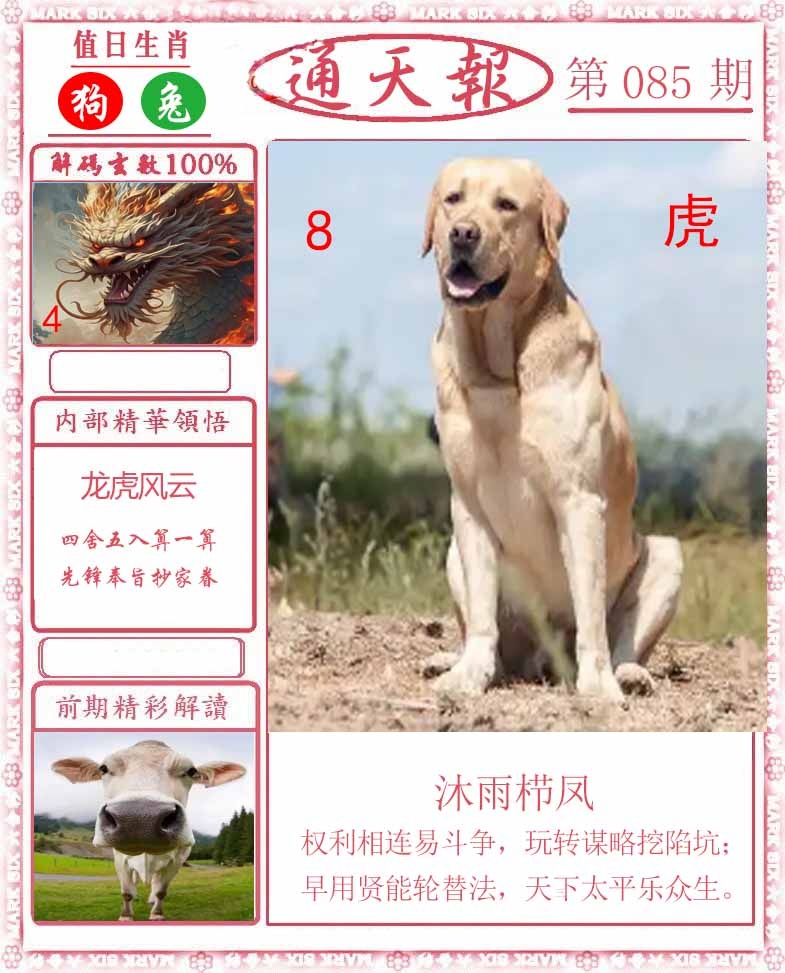 六合彩085期正版通天报