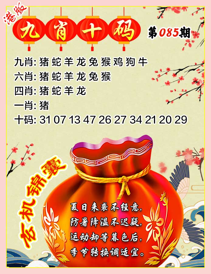 六合彩085期九肖十码