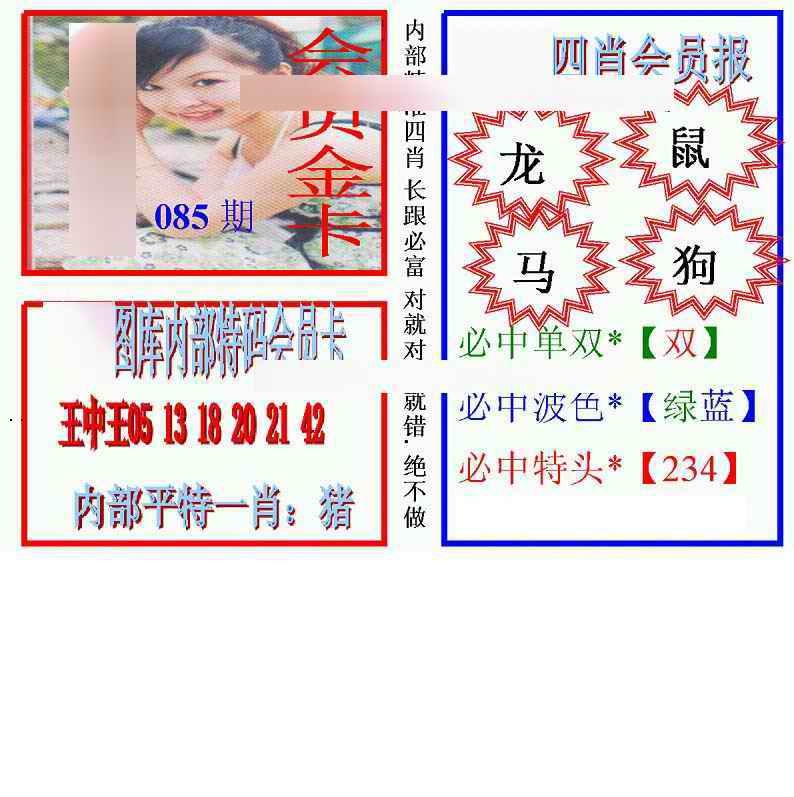 六合彩085期马经四肖会员报(新图)