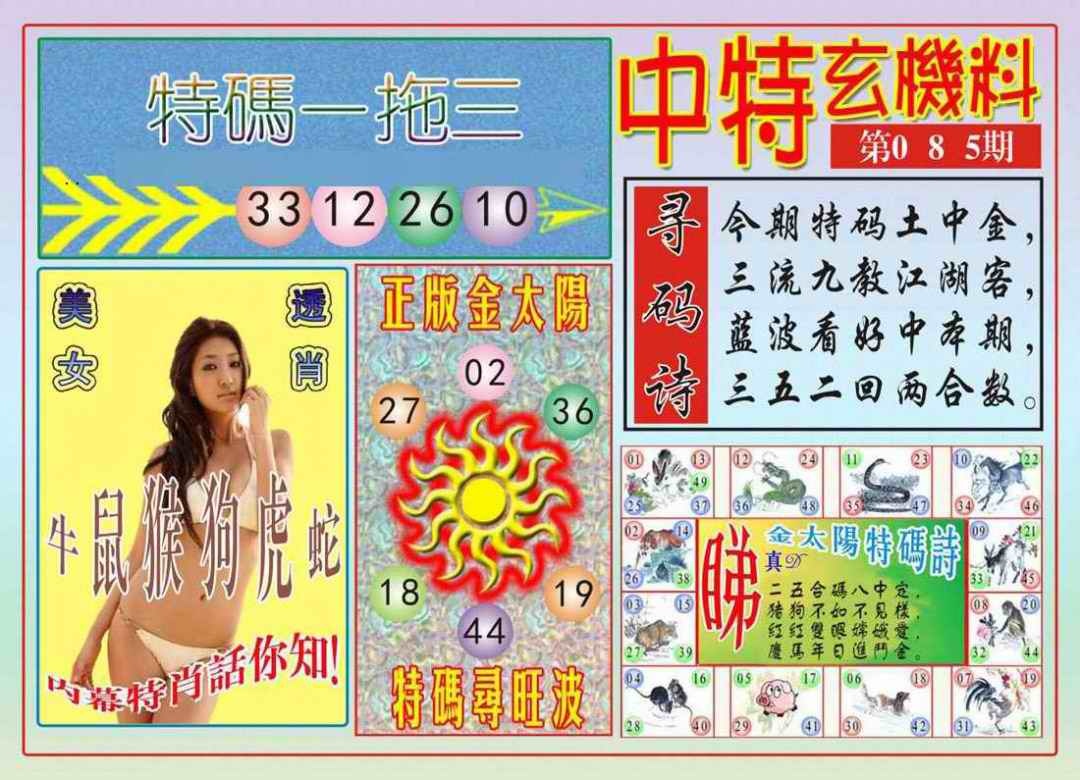 六合彩085期中特玄机料
