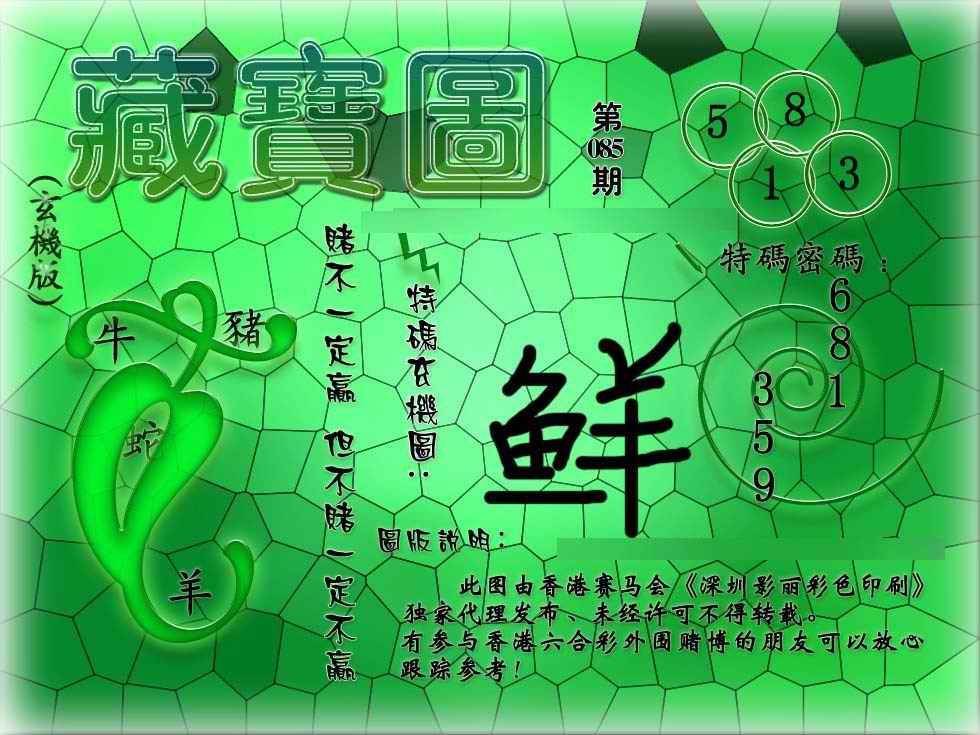 六合彩085期九龙玄机报