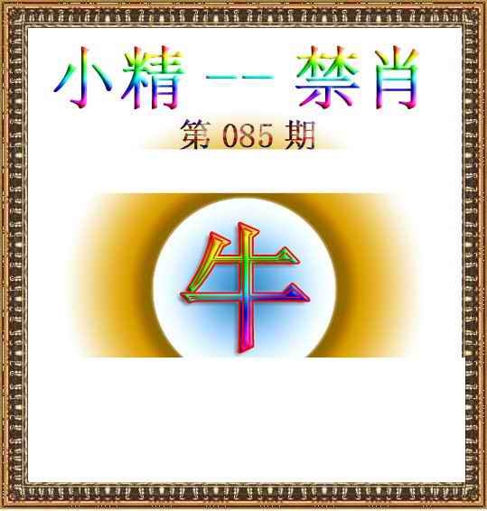 六合彩085期小精禁肖