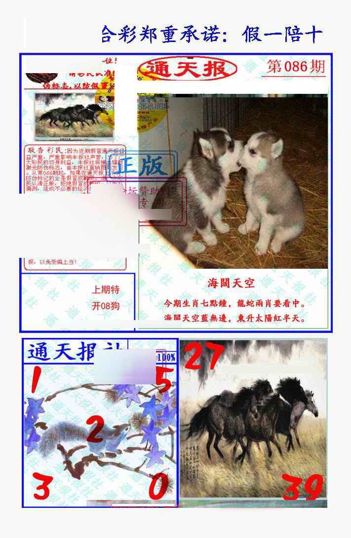 六合彩086期假一陪十通天报