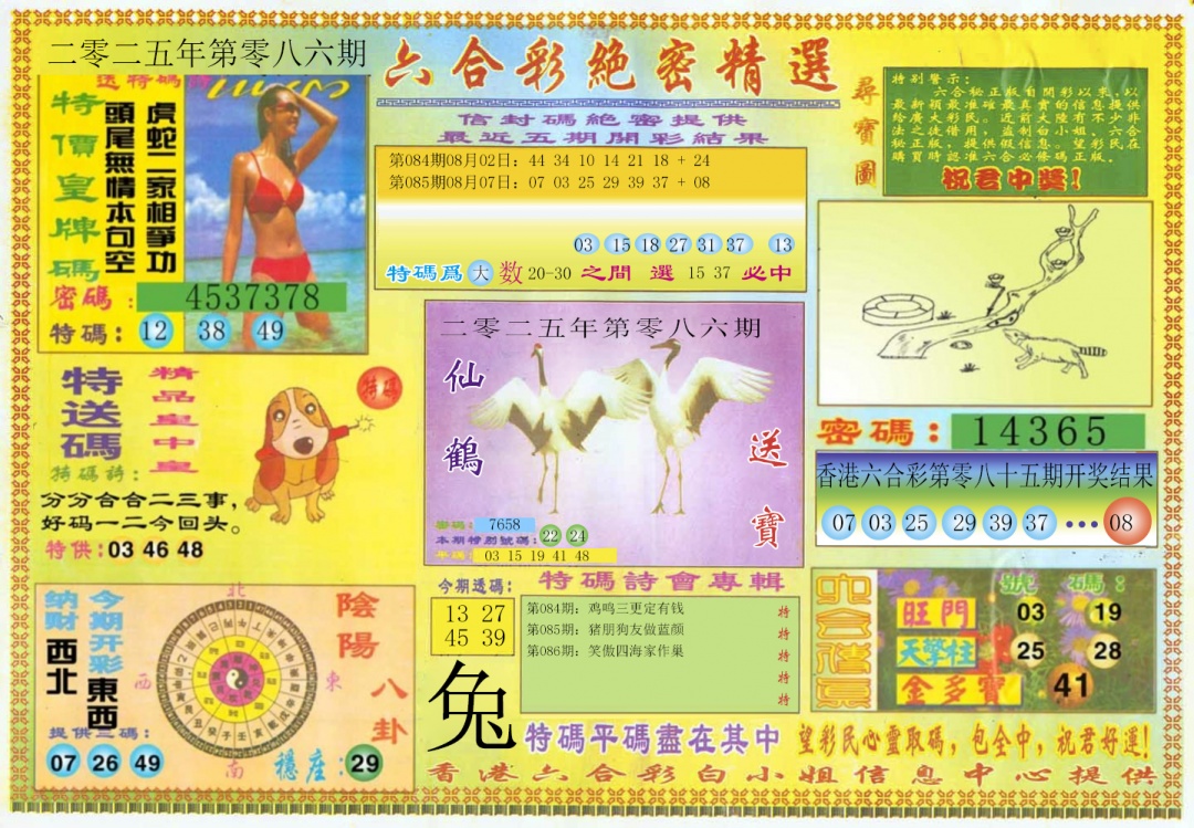 六合彩086期绝密精选A