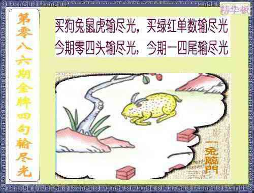 六合彩086期金牌四句输尽光
