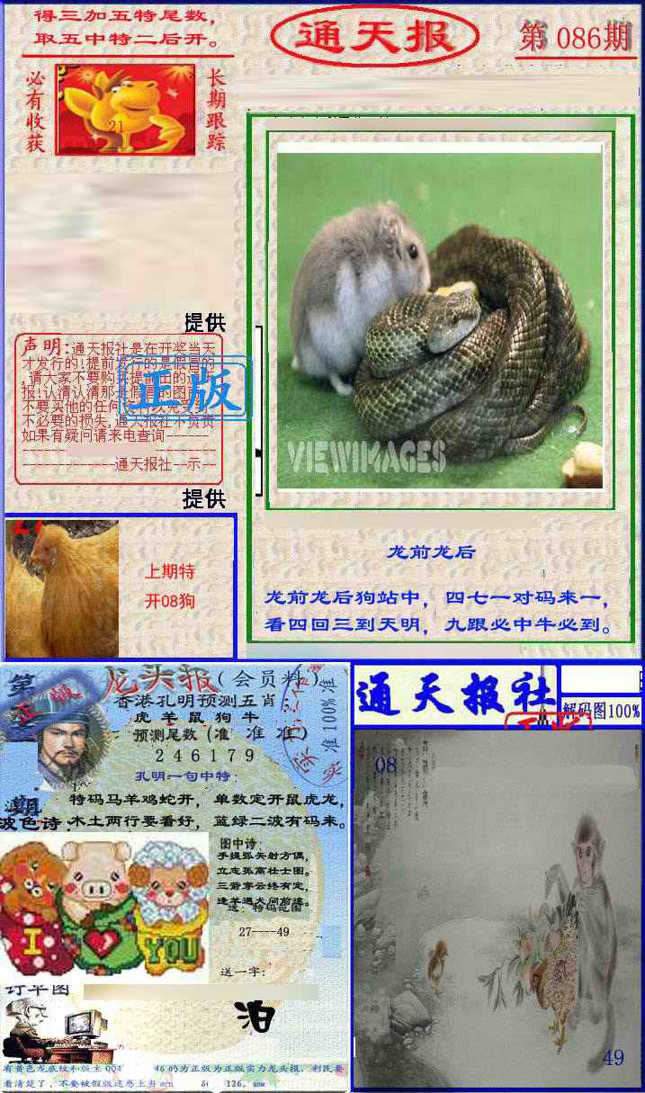 六合彩086期实力通天报
