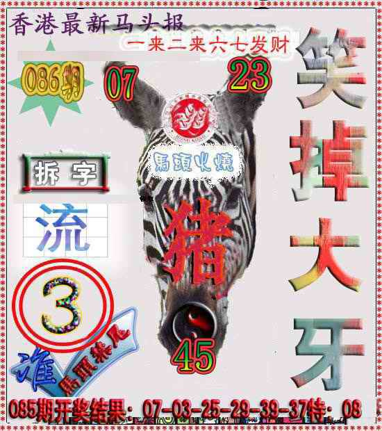 六合彩086期香港马头报