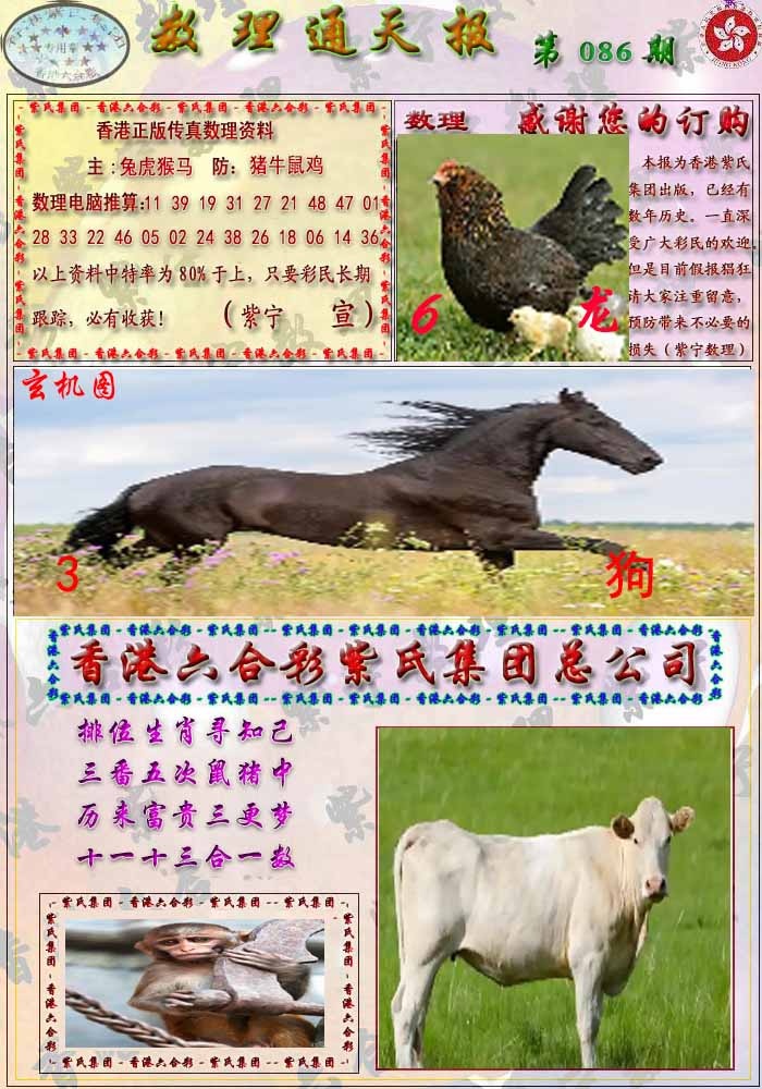 六合彩086期数通报