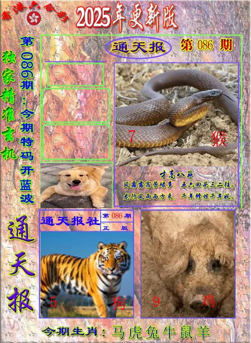 六合彩086期新通报
