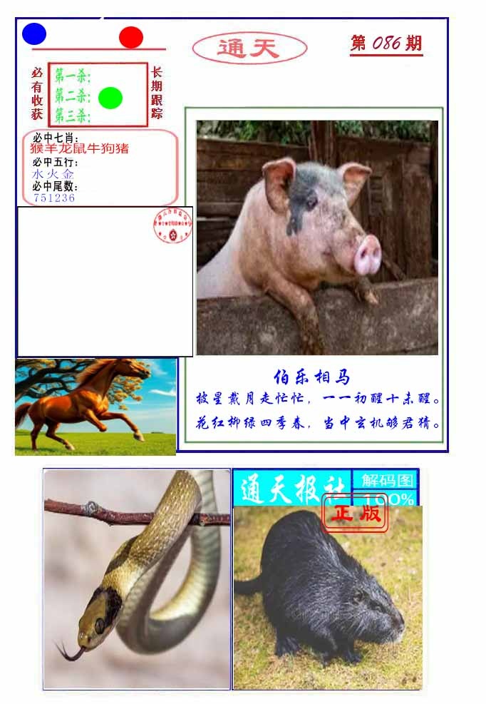 六合彩086期通天杀波图2