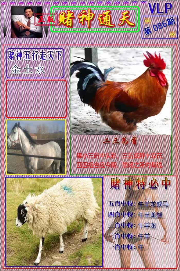 六合彩086期赌神通天报