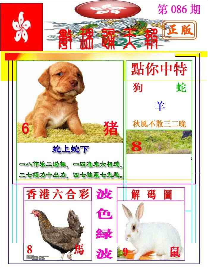 六合彩086期数理通天