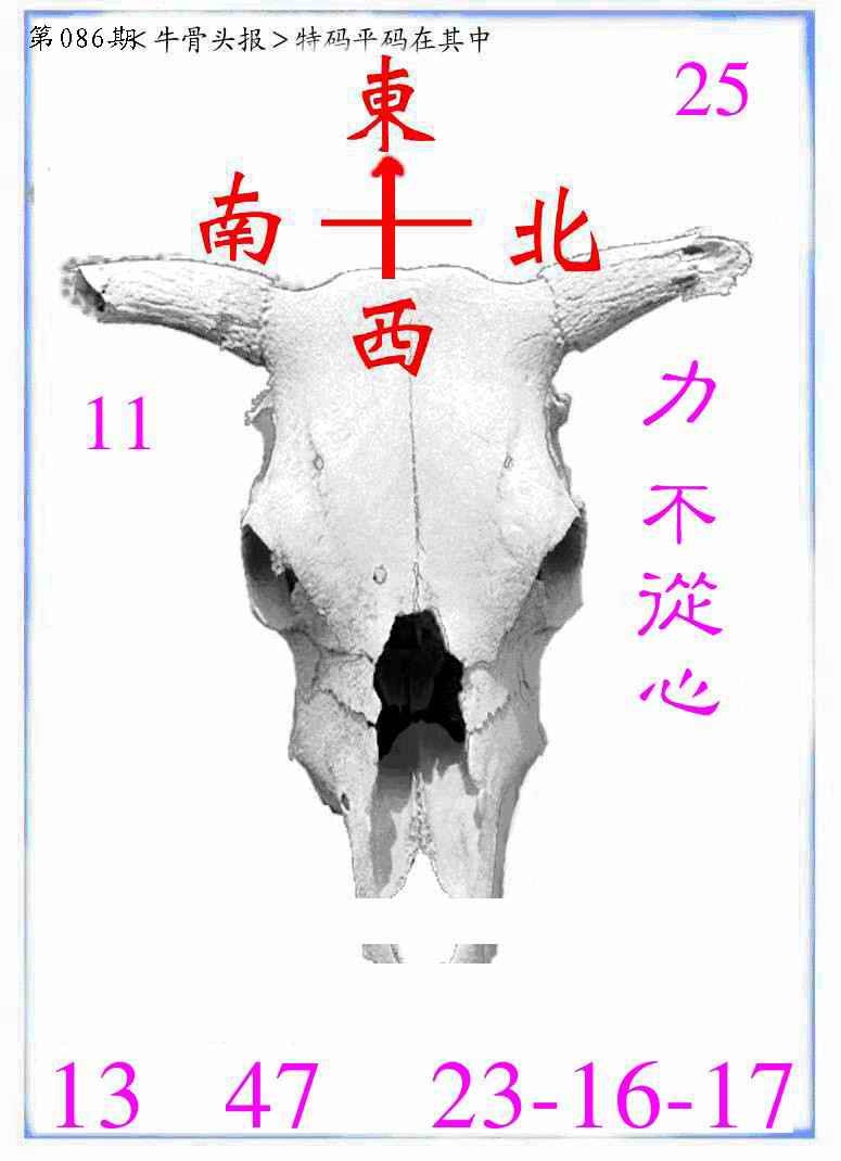 六合彩086期牛派牛头报
