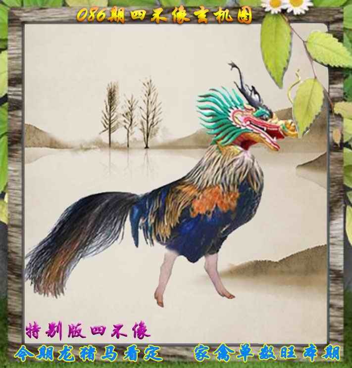 六合彩086期四不像特别版