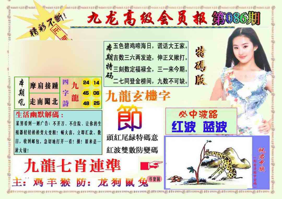六合彩086期九龙高级会员报