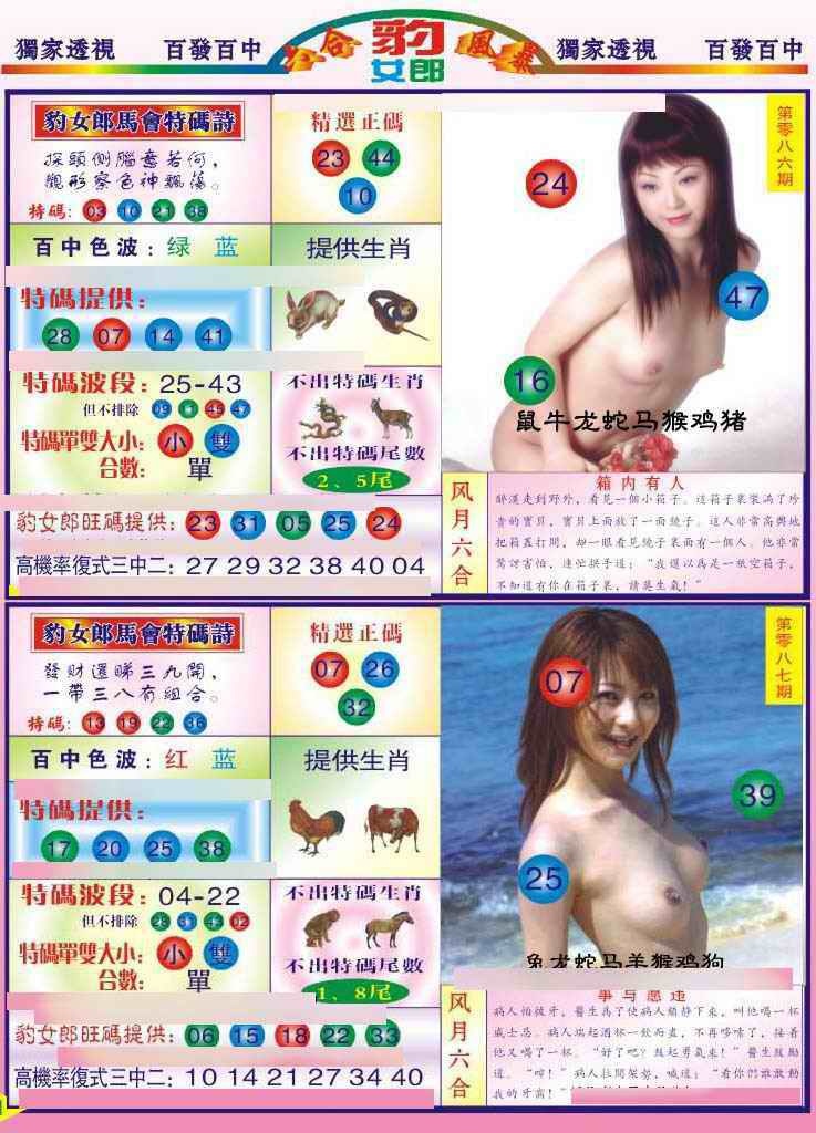 六合彩086期豹女郎
