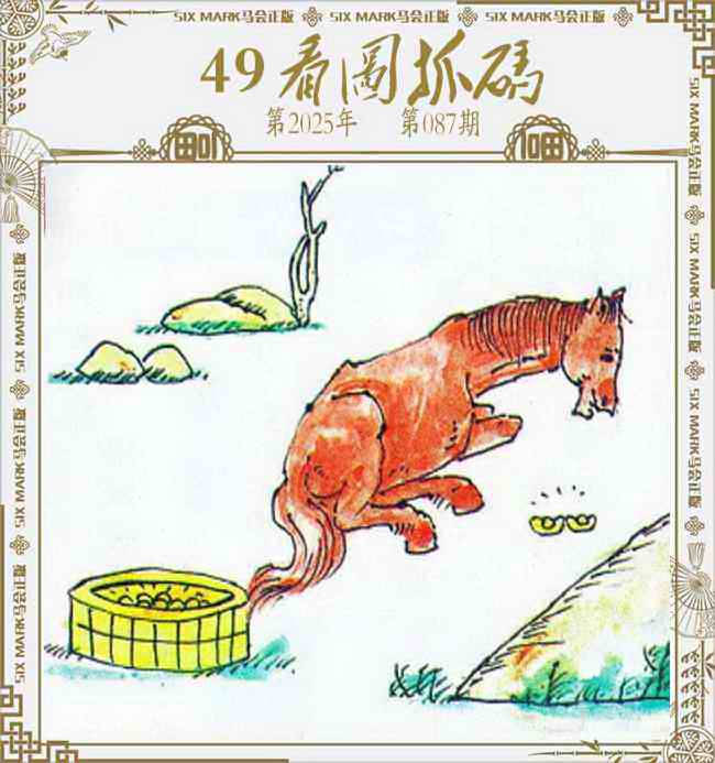六合彩087期49看图抓码