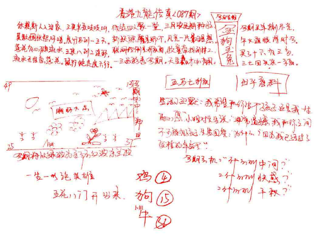 六合彩087期九龙传真(手写)