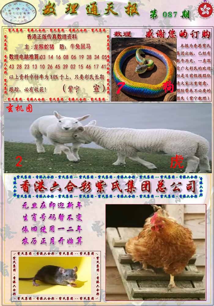 六合彩087期数通报