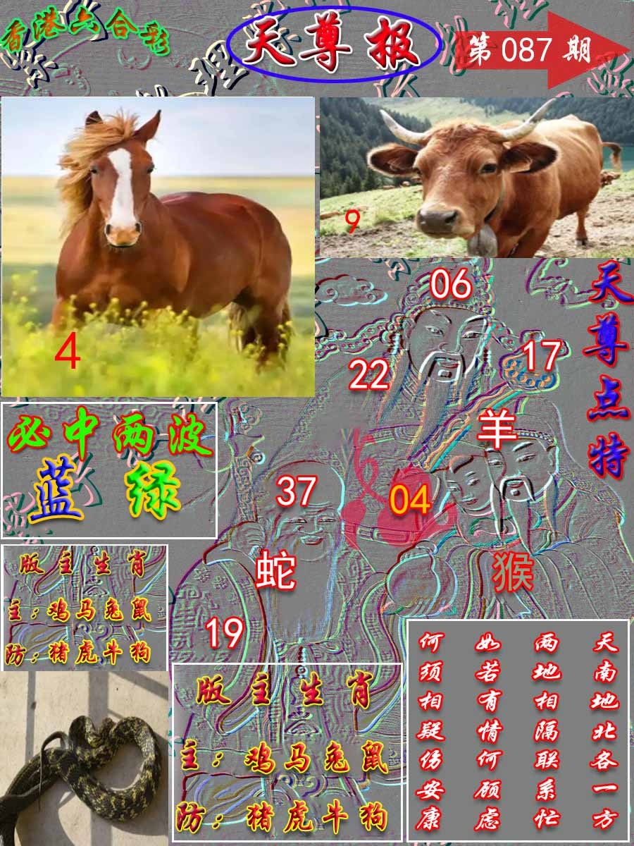 六合彩087期天尊报