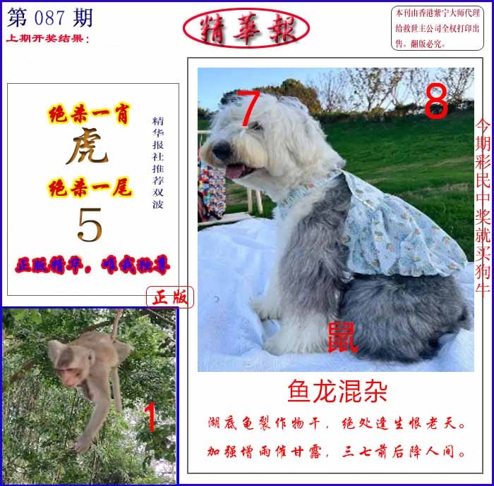 六合彩087期新精华报报