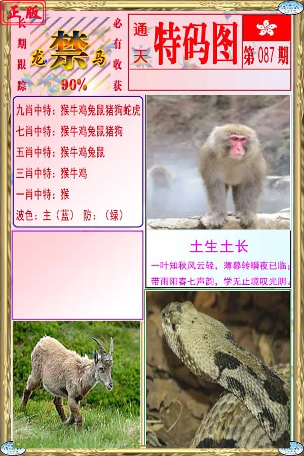 六合彩087期特码图