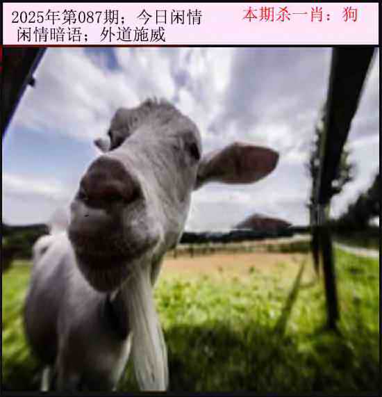 六合彩087期今日闲情