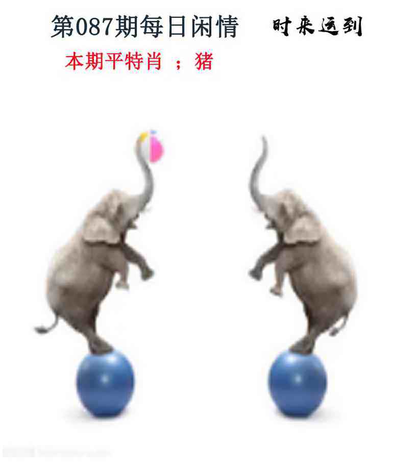 六合彩087期每日闲情