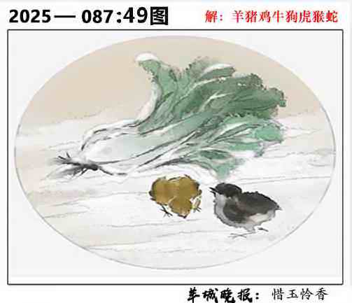 六合彩087期49图