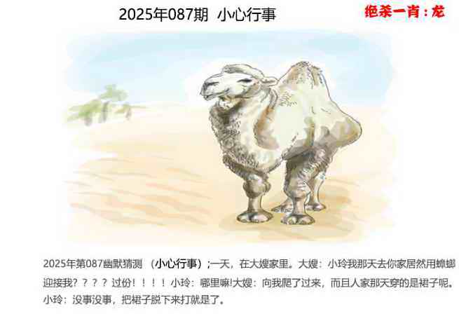 六合彩087期幽默猜测