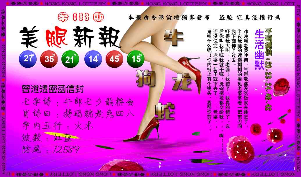 六合彩088期美腿新报