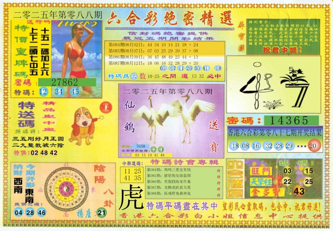 六合彩088期绝密精选A