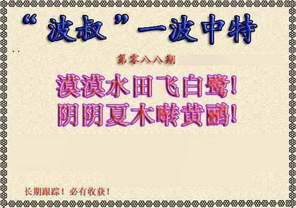 六合彩088期波叔一波中特