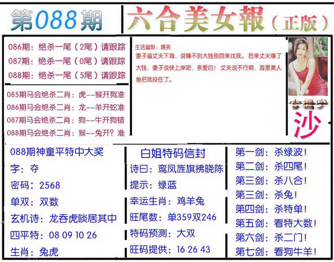 六合彩088期美女报