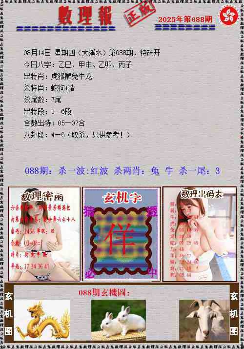 六合彩088期数理报