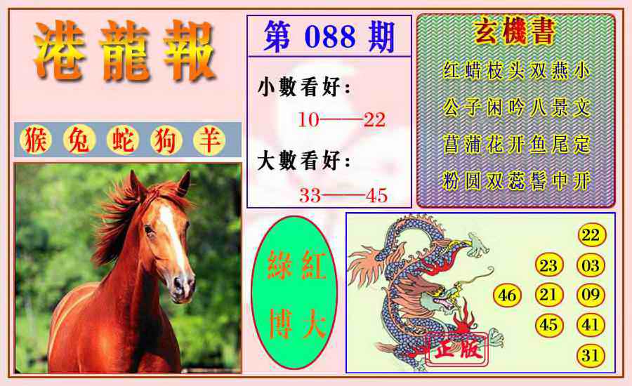 六合彩088期港龙报