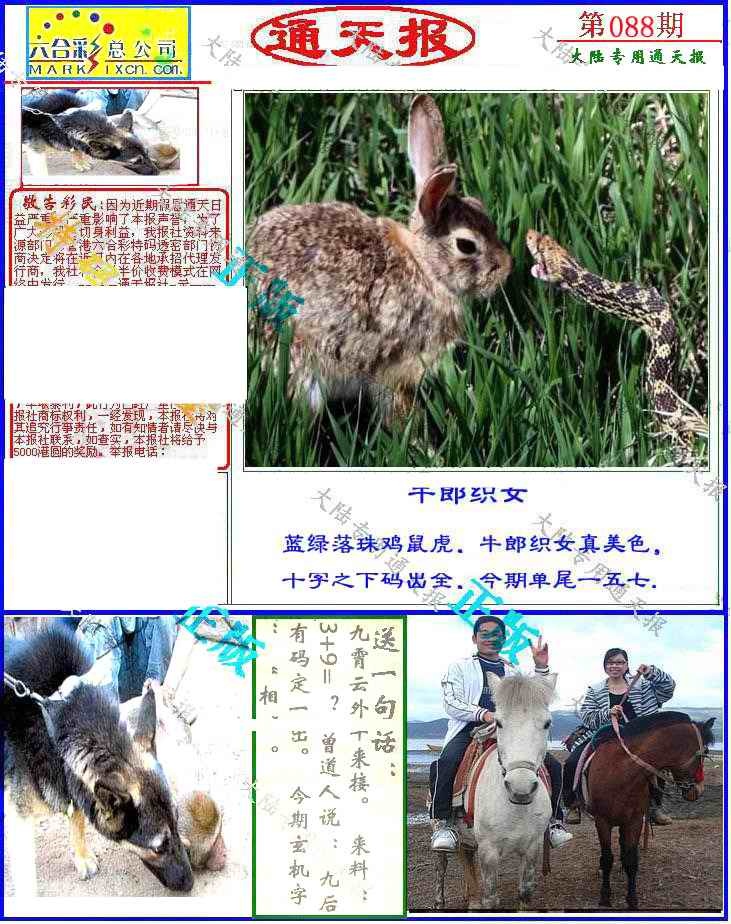 六合彩088期大陆通天报