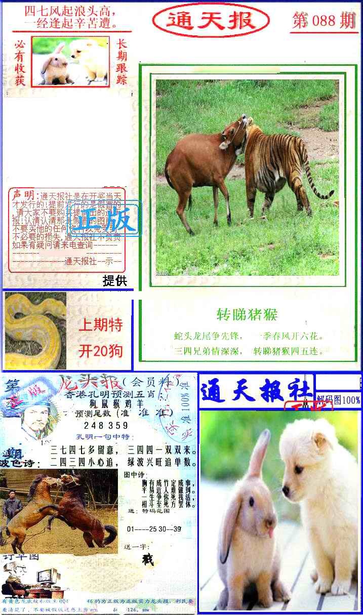 六合彩088期实力通天报