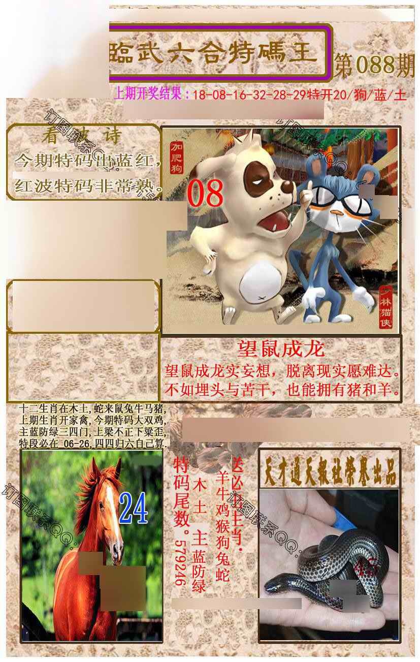 六合彩088期临武六合特码王