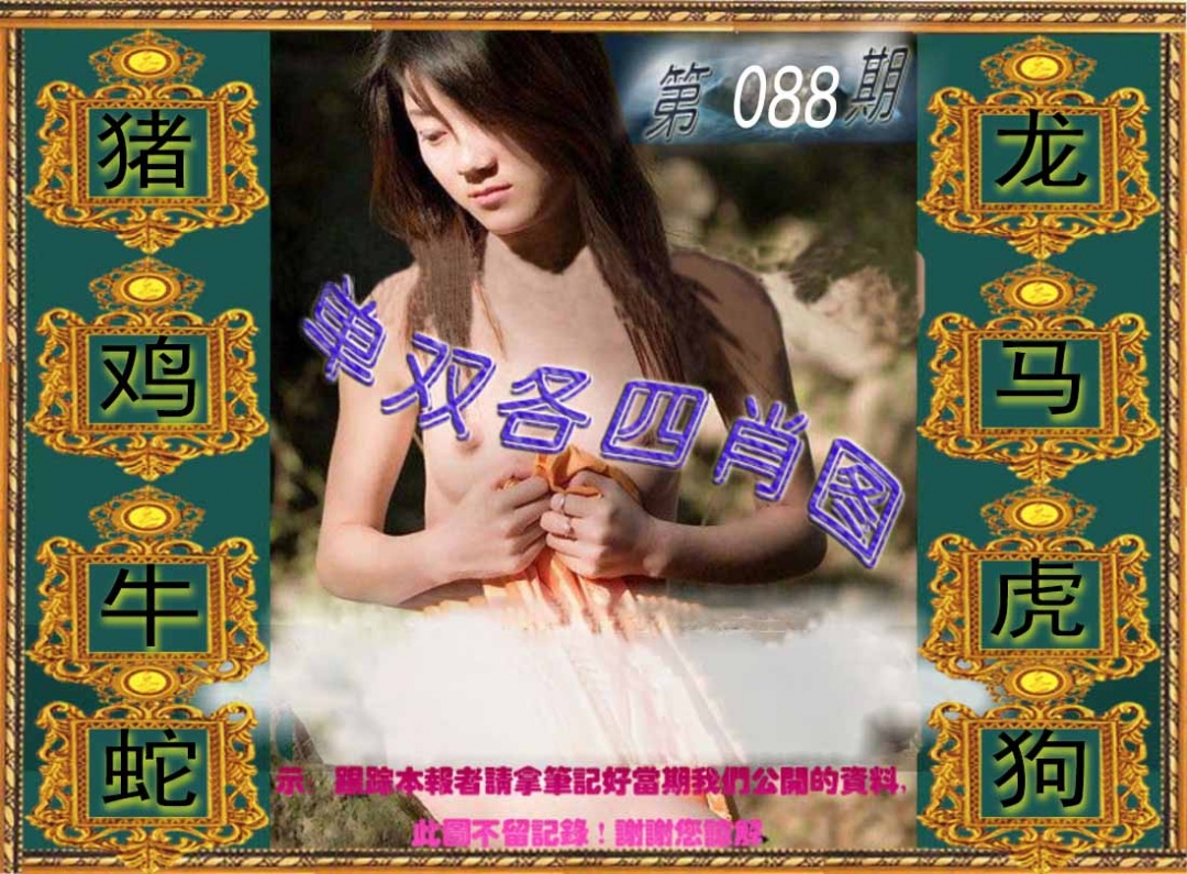 六合彩088期单双各四肖图
